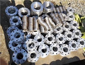 鋼制法蘭/鋼制法蘭