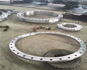 不銹鋼異型法蘭/不銹鋼異型法蘭